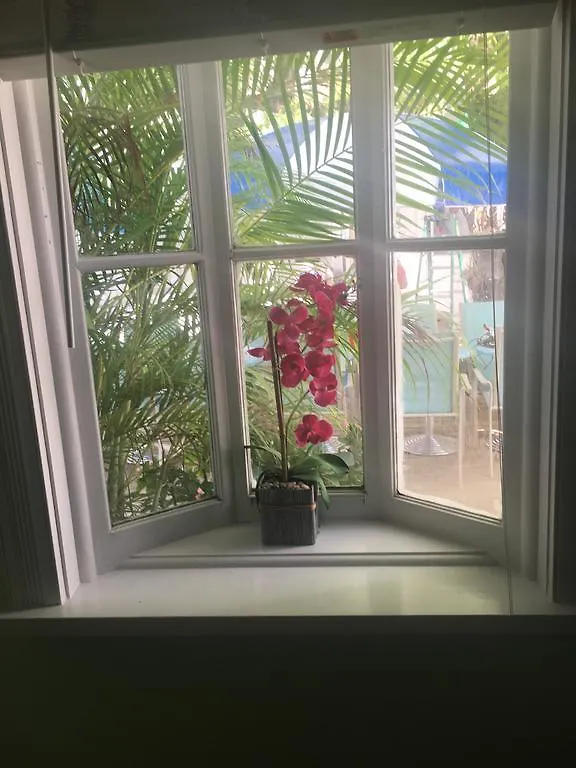 Amsterdam'S Curry Mansion Inn Key West